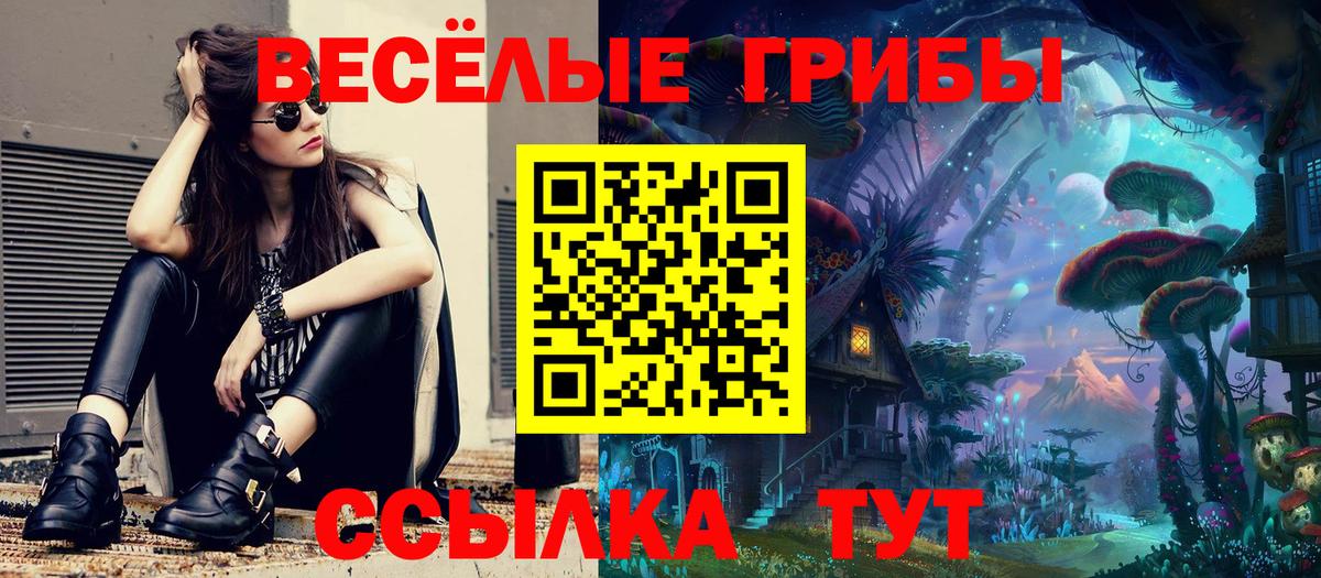 Подольск  Галлюциногенные грибы Magic Shrooms  Вход с VPN 