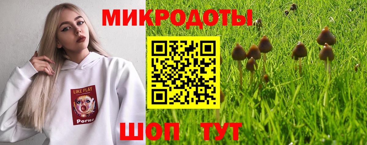 Галлюциногенные грибы мицелий Подольск